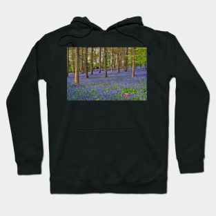 Bluebell Woods Greys Court Oxfordshire UK Hoodie